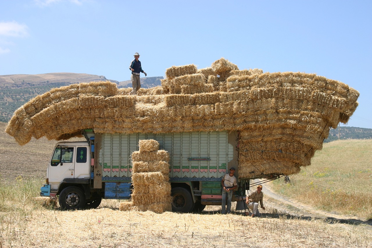 morocco, truck, hay-842660.jpg